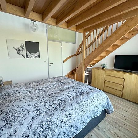 Miky Apartman Klinovec Garden Loučná pod Klínovcem المظهر الخارجي الصورة