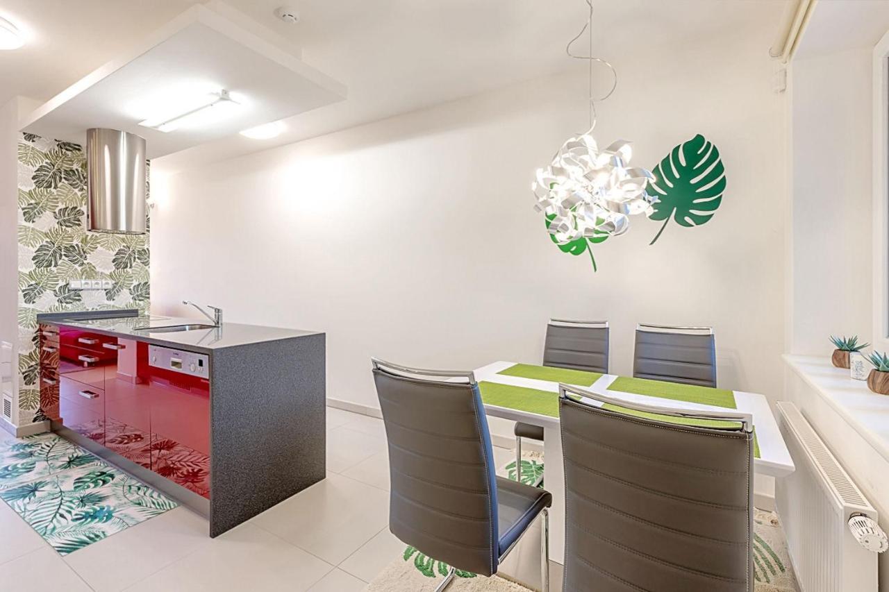Miky Apartman Klinovec Garden Loučná pod Klínovcem المظهر الخارجي الصورة